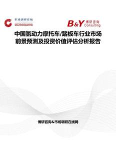 中國氫動力摩托車 踏板車行業市場前景預測及投資價值評估分析報告