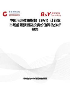 中国污泥体积指数（SVI）计行业市场前景预测及投资价值评估分析报告