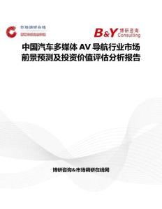 中国汽车多媒体AV导航行业市场前景预测及投资价值评估分析报告