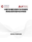 中国汽车橡胶注塑件行业市场前景预测及投资价值评估分析报告