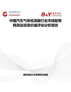 中国汽车气体检测器行业市场前景预测及投资价值评估分析报告