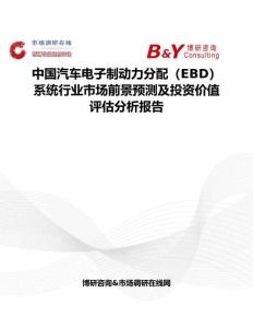 中國汽車電子制動力分配（EBD）系統行業市場前景預測及投資價值評估分析報告