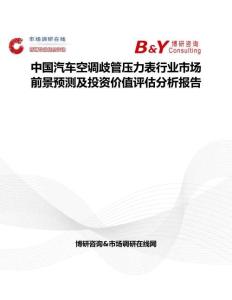 中国汽车空调歧管压力表行业市场前景预测及投资价值评估分析报告