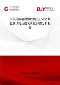 中國高級鏡面塑膠模具行業市場前景預測及投資價值評估分析報告