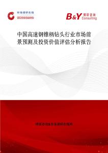 中國高速鋼錐柄鉆頭行業(yè)市場前景預(yù)測及投資價值評估分析報告
