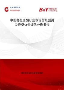 中國魯拉西酮行業(yè)市場前景預(yù)測及投資價值評估分析報告