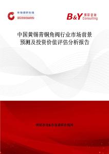 中國黃錫青銅角閥行業市場前景預測及投資價值評估分析報告