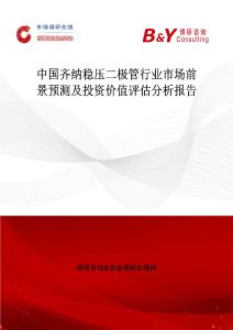中國齊納穩(wěn)壓二極管行業(yè)市場前景預(yù)測及投資價值評估分析報告
