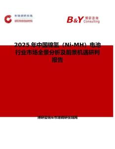 2025年中國(guó)鎳氫（Ni-MH）電池行業(yè)市場(chǎng)全景分析及前景機(jī)遇研判報(bào)告