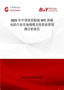 2025年中国表面贴装NTC热敏电阻行业市场规模及投资前景预测分析报告