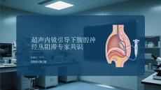 超聲內鏡引導下腹腔神經叢阻滯專家共識