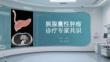 胰腺囊性肿瘤诊疗专家共识