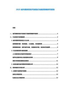 2025城市更新項目開發模式與融資策略研究報告