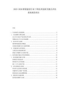 2025-2030桥梁建设行业工程技术创新关键点评估系统规范项目