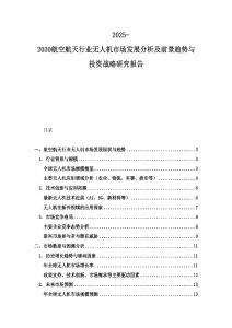 2025-2030航空航天行業無人機市場發展分析及前景趨勢與投資戰略研究報告