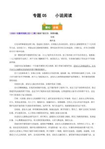 專題05 小說閱讀（安徽專用）（原卷版）