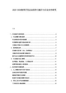 2025-2030軟件開發企業競爭力提升與行業合作研究