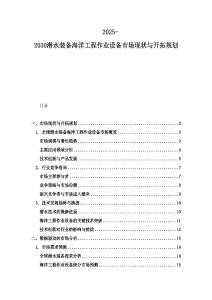 2025-2030潛水裝備海洋工程作業設備市場現狀與開拓規劃