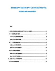 比利时通用汽车制造和其他汽车行业市场现状供需分析及投资评估规划分析研究报告