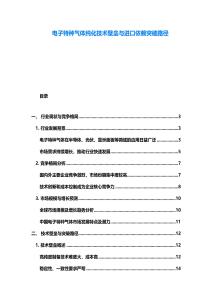 電子特種氣體純化技術壁壘與進口依賴突破路徑