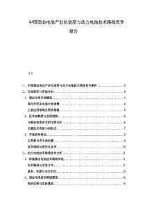 中國固態電池產業化進度與動力電池技術路線競爭報告