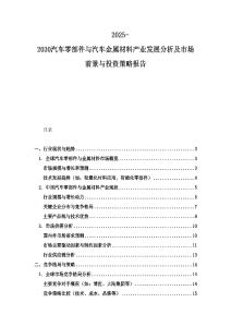 2025-2030汽车零部件与汽车金属材料产业发展分析及市场前景与投资策略报告