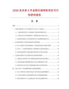 2026及未來5年金剛石倒角輪項目可行性研究報告
