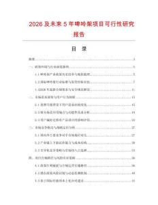 2026及未來5年啤呤架項目可行性研究報告