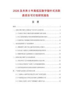 2026及未來(lái)5年高低壓數(shù)字指針式兆歐表項(xiàng)目可行性研究報(bào)告