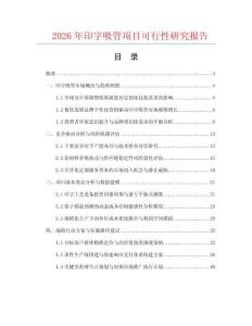 2026年印字吸管項目可行性研究報告