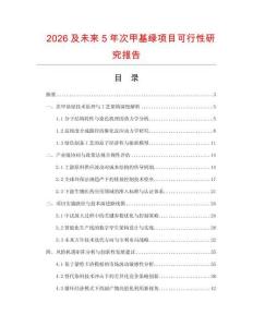 2026及未來5年次甲基綠項(xiàng)目可行性研究報(bào)告