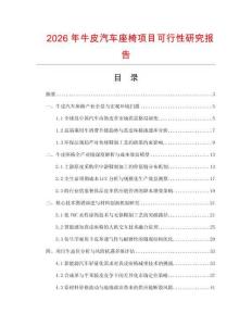 2026年牛皮汽車座椅項目可行性研究報告