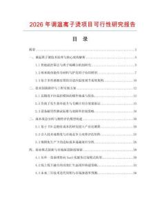 2026年調溫離子燙項目可行性研究報告
