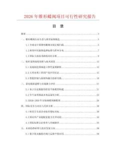2026年錐形蝶閥項目可行性研究報告