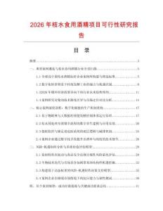 2026年桔水食用酒精项目可行性研究报告