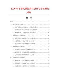 2026年手柄式微型探頭項目可行性研究報告