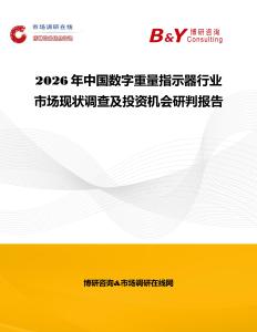 2026年中国数字重量指示器行业市场现状调查及投资机会研判报告