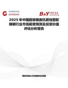 2025年中国超级镜面抗腐蚀塑胶模钢行业市场前景预测及投资价值评估分析报告