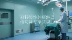 妇科恶性肿瘤淋巴结切除专家共识(2)