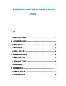 甲基丙烯酸行业市场现状供需分析评估投资前景规划研究分析报告