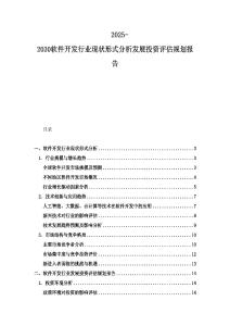 2025-2030軟件開發行業現狀形式分析發展投資評估規劃報告