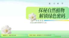 活動策劃 -2026夏日研學沉浸式趣味植物之旅活動方案 -探秘自然植物解鎖綠色密碼【研學】【夏季活動】