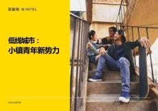 2026低線城市小鎮青年新勢力報告-英敏特