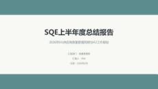 SQE上半年度總結(jié)報告