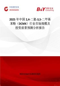 2025年中國24-二氯-35-二甲基苯酚（DCMX）行業市場規模及投資前景預測分析報告