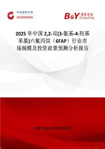 2025年中國22-雙(3-氨基-4-羥基苯基)六氟丙烷（6FAP）行業市場規模及投資前景預測分析報告