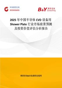 2025年中國半導體CVD設備用Shower Plate行業市場前景預測及投資價值評估分析報告