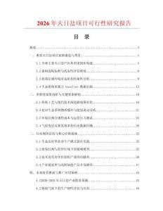 2026年天日盐项目可行性研究报告