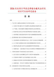 2026及未来5年表皮移植白癜风治疗仪项目可行性研究报告