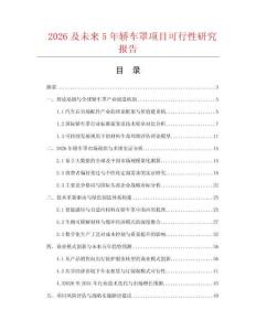 2026及未来5年轿车罩项目可行性研究报告